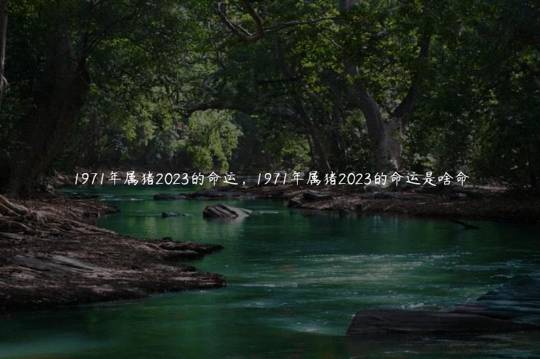 1971年属猪2023的命运，1971年属猪2023的命运是啥命