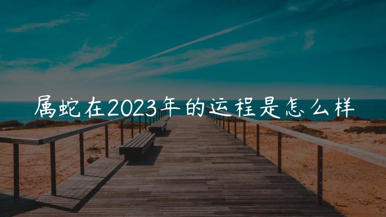 属蛇在2023年的运程是怎么样，属蛇在2023年的运程是怎么样的呢