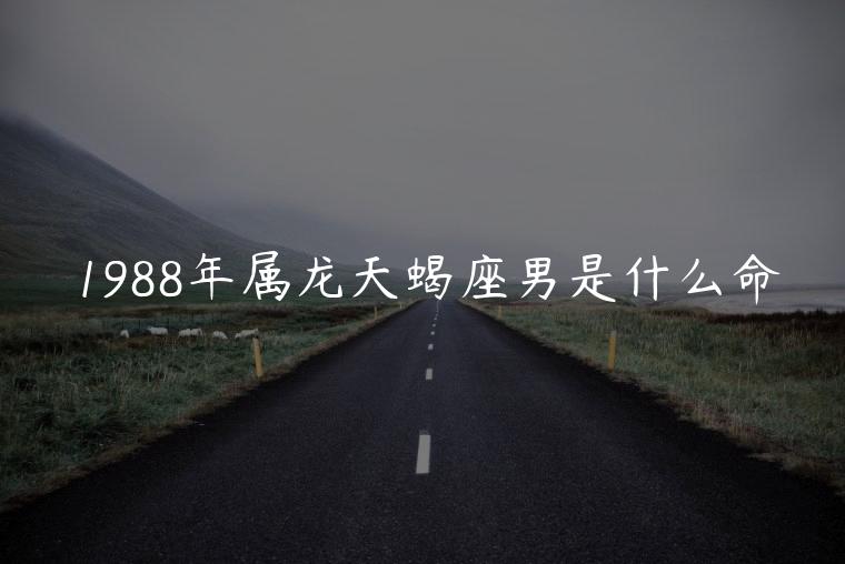 1988年属龙天蝎座男是什么命，1988年属龙天蝎座男性格如何