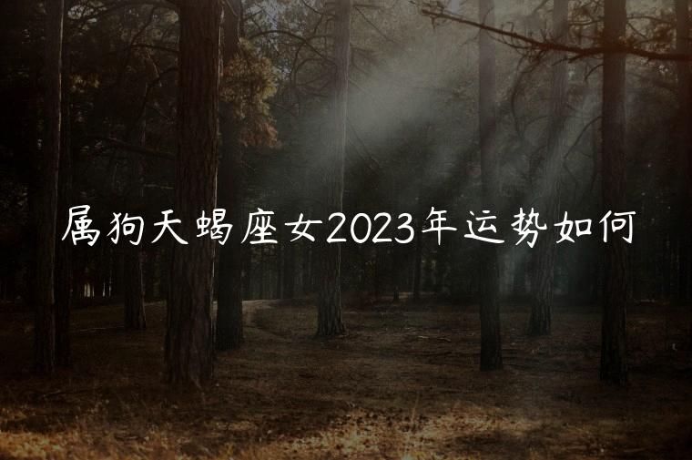 属狗天蝎座女2023年运势如何，属狗女2023年运势如何