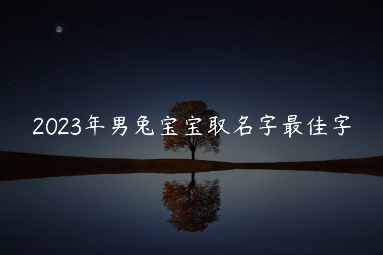 2023年男兔宝宝取名字最佳字，2024年男兔宝宝取名字最佳字