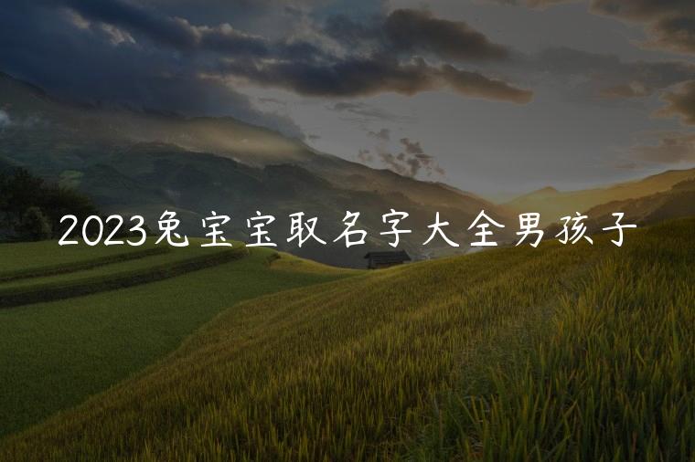 2023兔宝宝取名字大全男孩子，2023年兔宝宝取名字大全男孩子