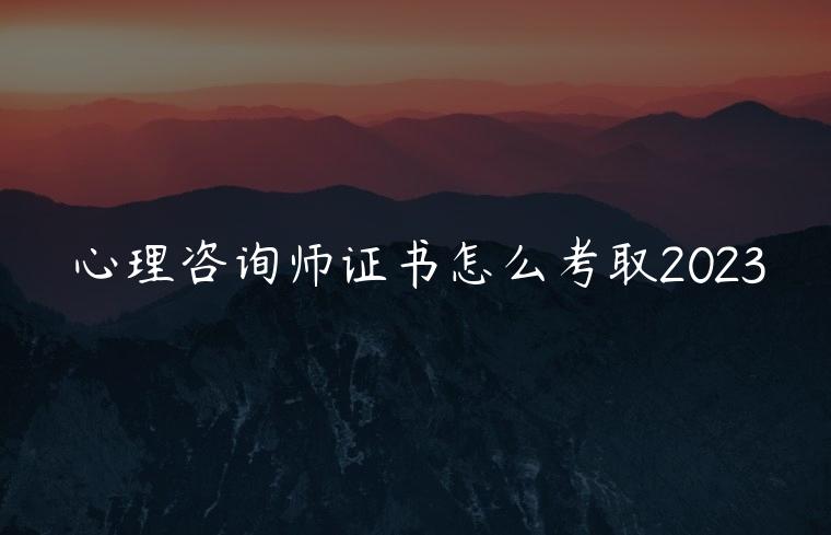 心理咨询师证书怎么考取2023，心理咨询师证书怎么考取2023费用