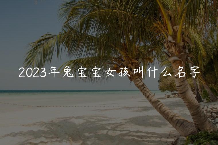 2023年兔宝宝女孩叫什么名字，2023年李姓兔宝宝女孩叫什么名字