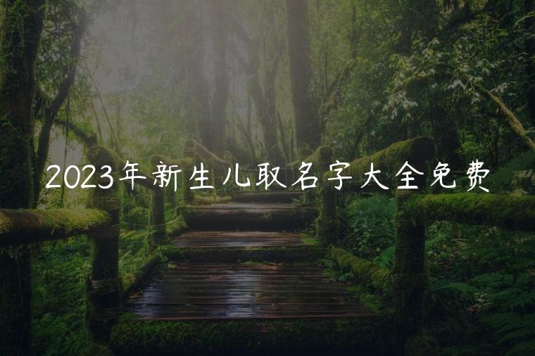 2023年新生儿取名字大全免费，2023年新生儿取名字大全免费女孩