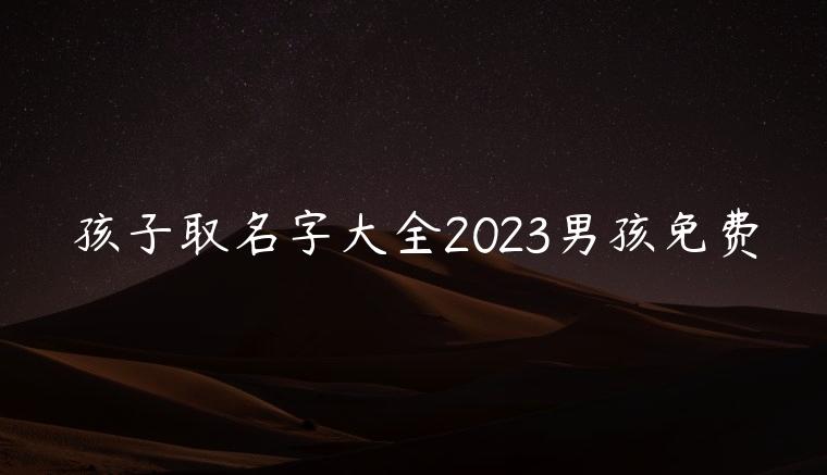 孩子取名字大全2023男孩免费，孩子取名字大全2023男孩