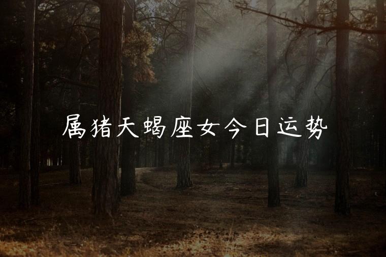 属猪天蝎座女今日运势，属猪天蝎座女今日运势查询