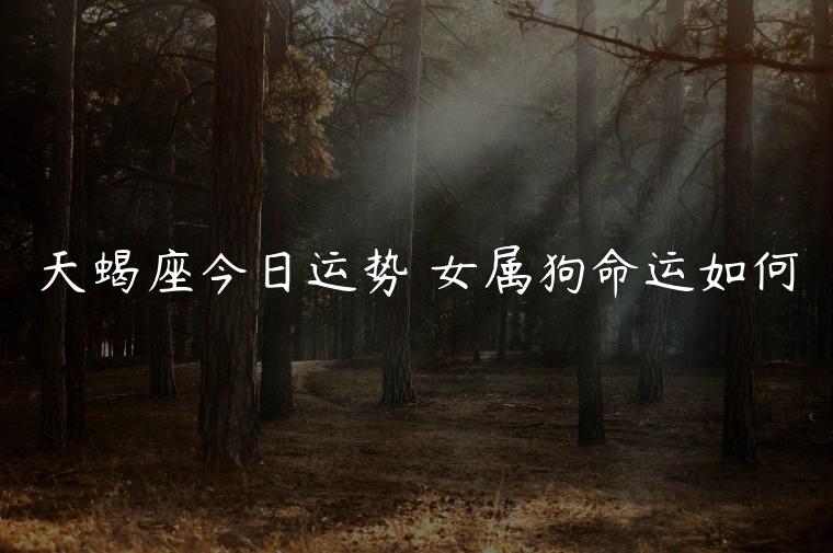 天蝎座今日运势 女属狗命运如何，天蝎座今日运势女生属狗