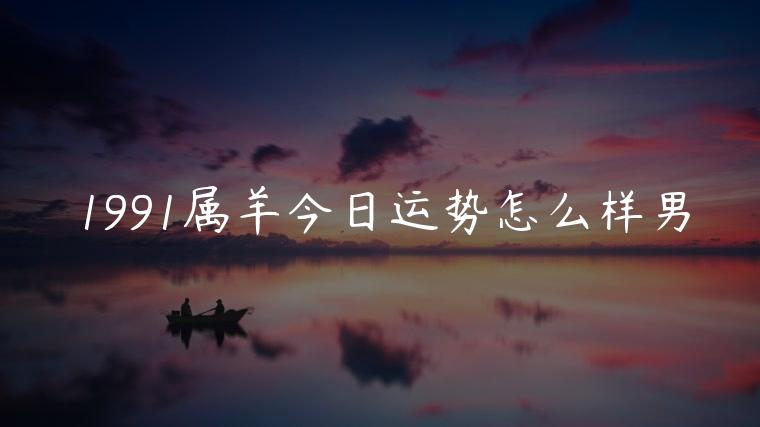 1991属羊今日运势怎么样男，1991年属羊男今天运势怎么样