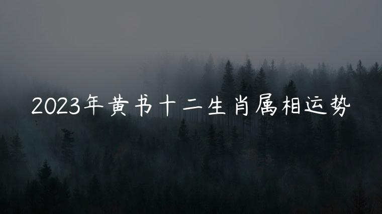 2023年黄书十二生肖属相运势，2023年十二生肖財運全解析 屬虎收入可創新高、屬馬穩健進取 屬兔小心落入投資陷阱