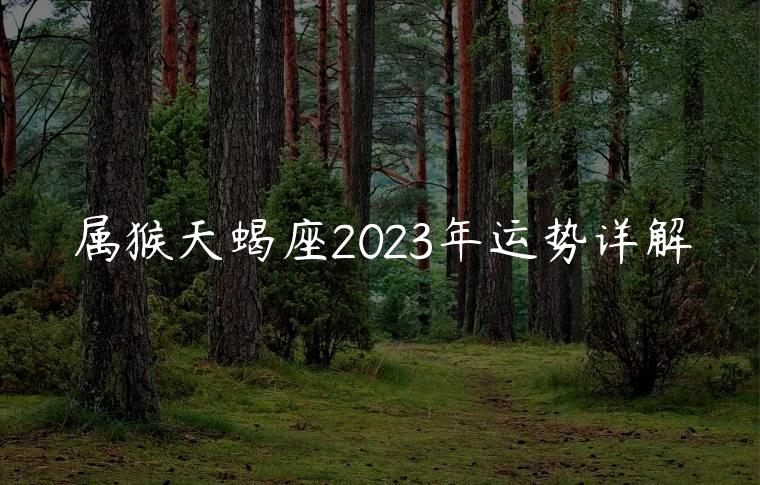属猴天蝎座2023年运势详解，属猴天蝎座2023年运势详解男