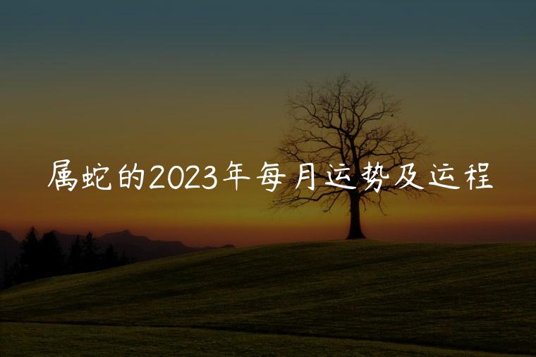 属蛇的2023年每月运势及运程，属蛇的2023年每月运势及运程如何
