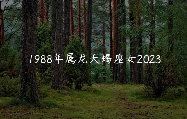 1988年属龙天蝎座女2023，88年属龙的天蝎座女2020