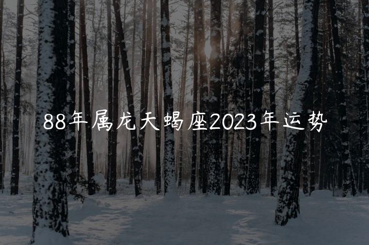 88年属龙天蝎座2023年运势，88年属龙天蝎座2023年运势如何
