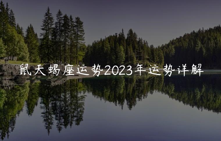 鼠天蝎座运势2023年运势详解，属鼠天蝎座2023年运势及运程