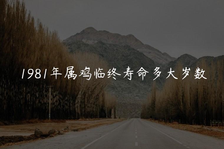 1981年属鸡临终寿命多大岁数，1981年属鸡寿命多少岁