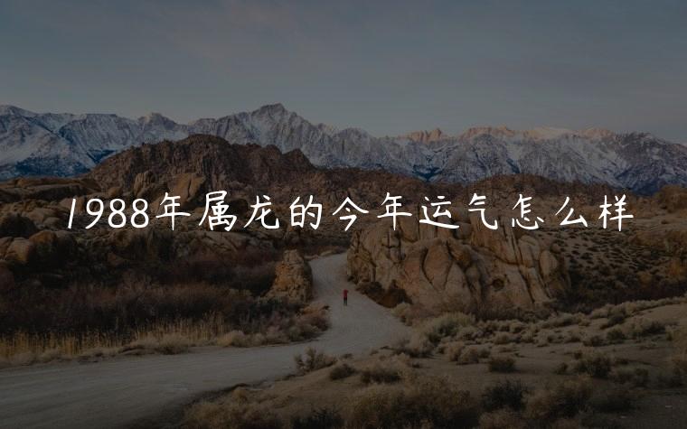 1988年属龙的今年运气怎么样，1988年属龙今年运气怎样