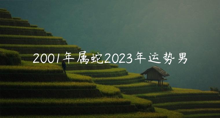 2001年属蛇2023年运势男，2001年属蛇男2023年运势完整版