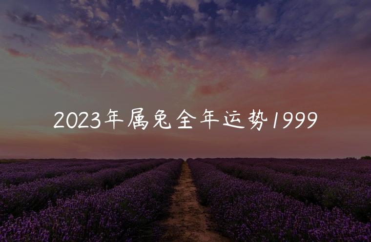 2023年属兔全年运势1999，87年属兔女2023年全年运势