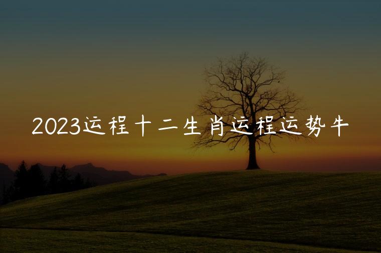 2023运程十二生肖运程运势牛，属兔2023运势及运程每月运程