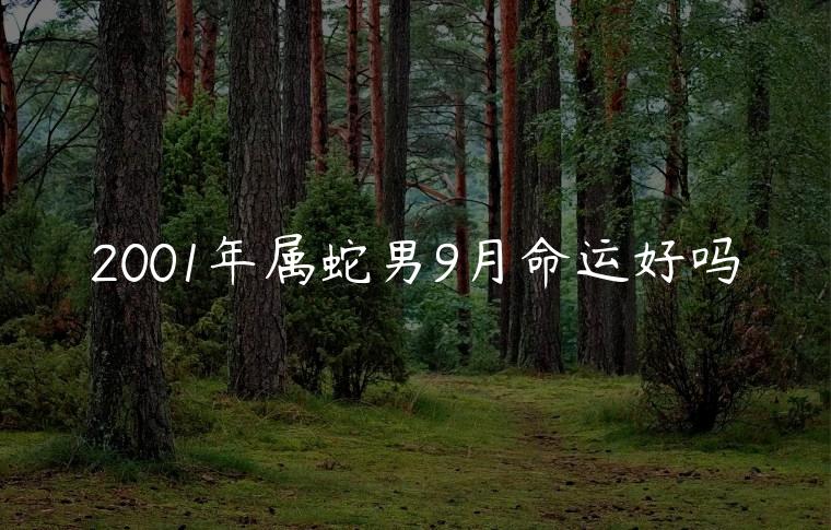 2001年属蛇男9月命运好吗，2001年属蛇几月出生好男孩