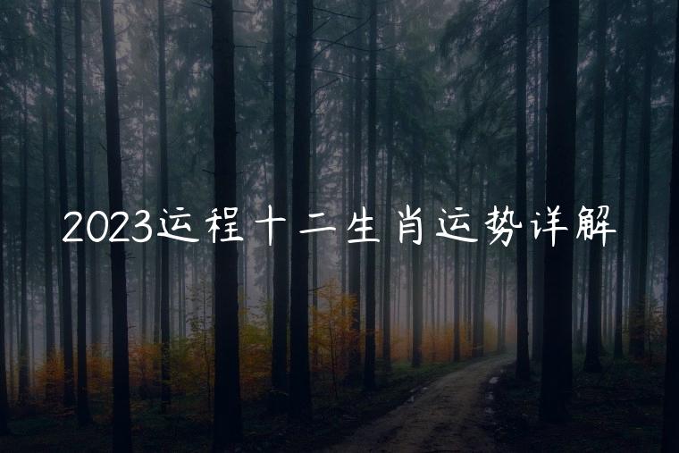 2023运程十二生肖运势详解，宋韶光2023十二生肖运势详解