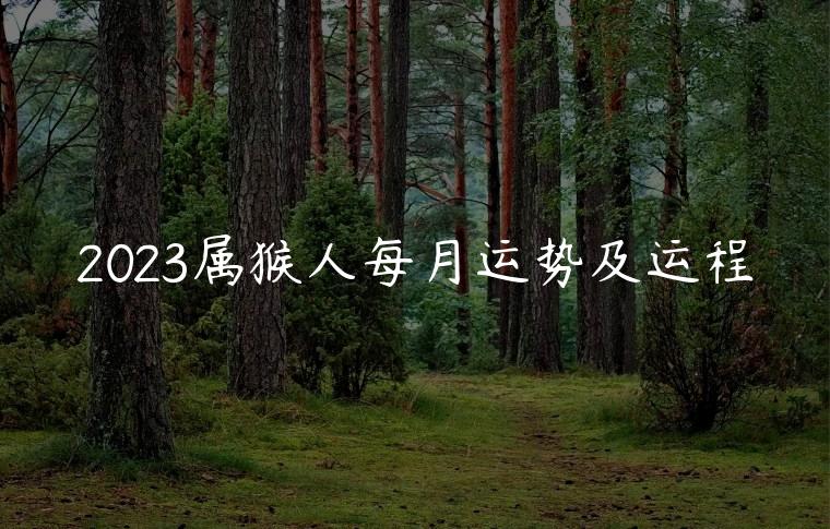 2023属猴人每月运势及运程，2023属猴人全年12个月运势