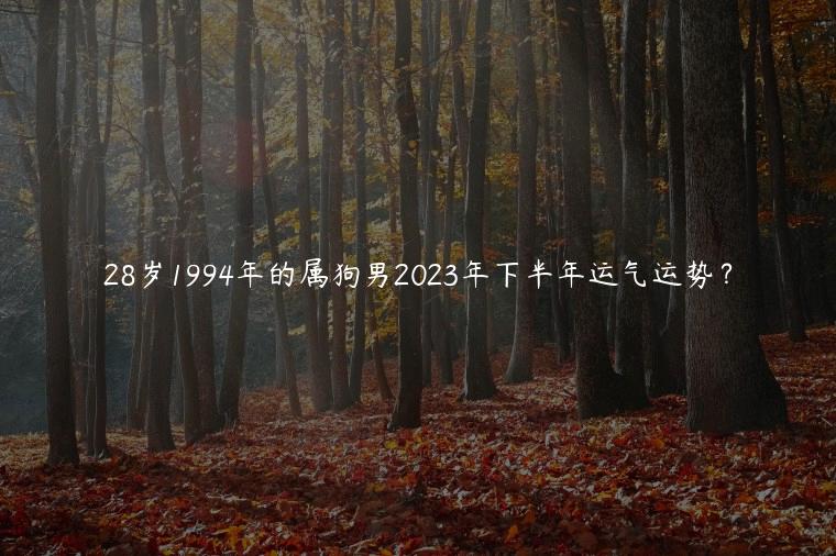 28岁1994年的属狗男2023年下半年运气运势？