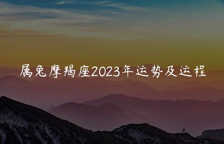 属兔摩羯座2023年运势及运程，属兔水瓶座2023年运势及运程