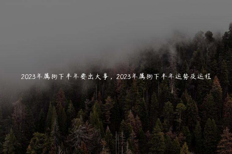 2023年属狗下半年要出大事，2023年属狗下半年运势及运程