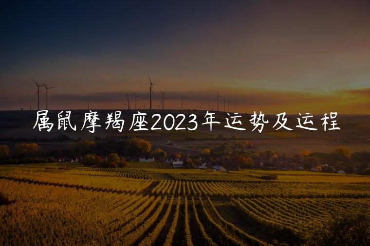 属鼠摩羯座2023年运势及运程，2023年属鼠摩羯座全年运势运程