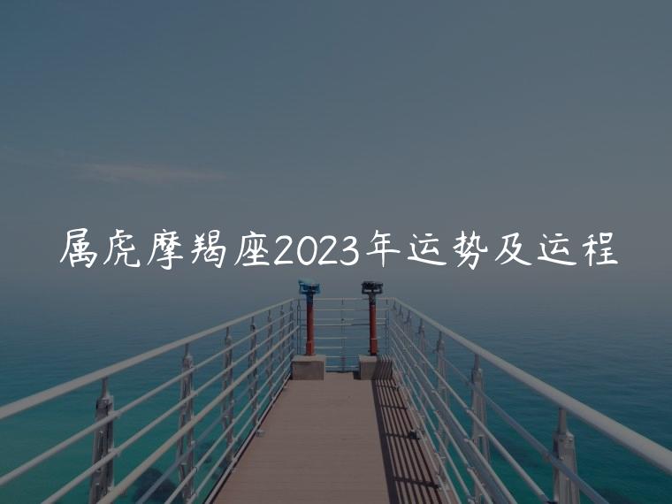 属虎摩羯座2023年运势及运程，属虎的人2023年的运势及运程