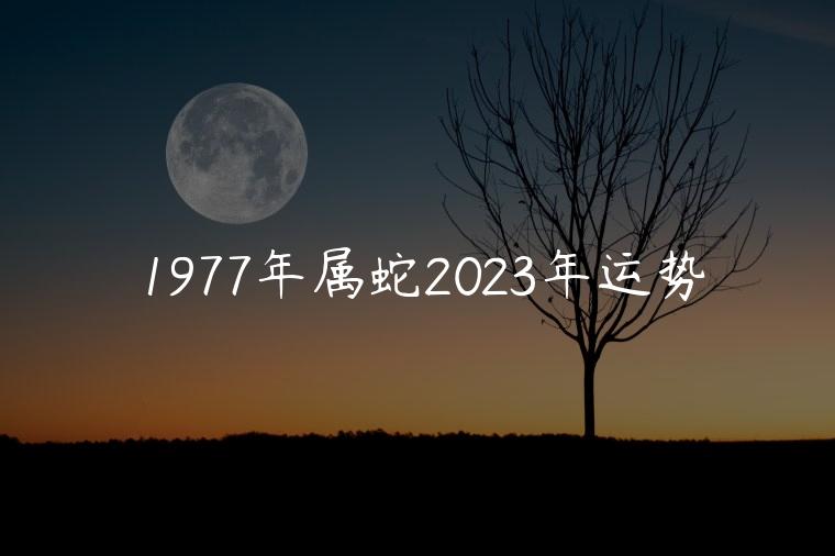 星座蛙，星座蛙西瓜视频