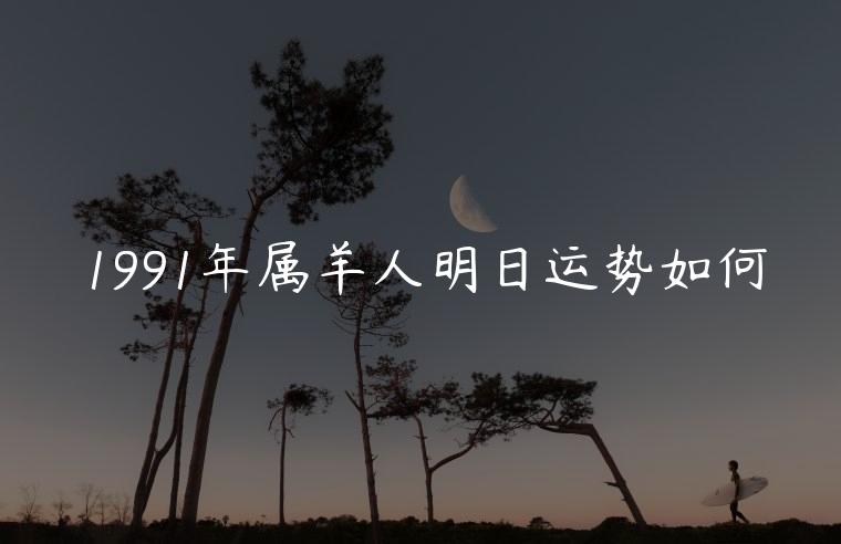1991年属羊人明日运势如何，1991年属羊人接下来运势如何