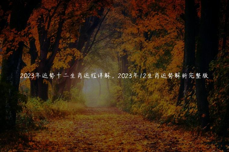 2023年运势十二生肖运程详解，2023年12生肖运势解析完整版