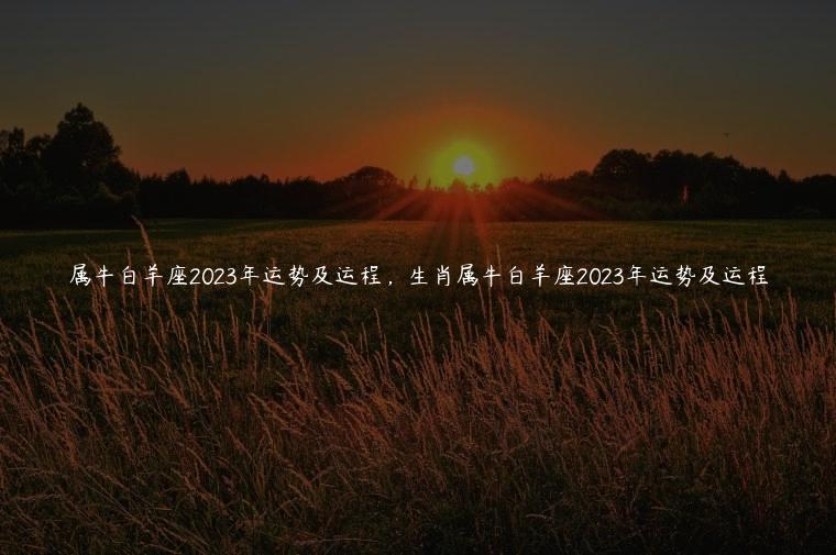 属牛白羊座2023年运势及运程，生肖属牛白羊座2023年运势及运程