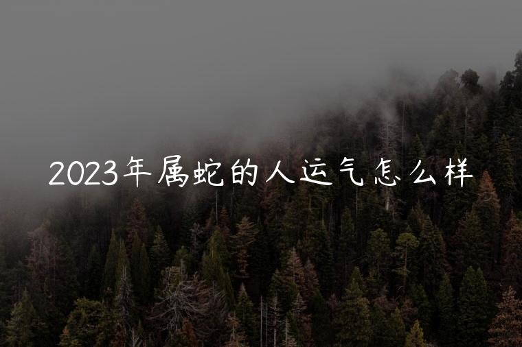 2023年属蛇的人运气怎么样，2023年属蛇的今年运气怎么样