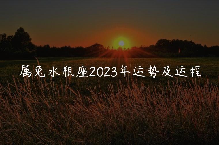 属兔水瓶座2023年运势及运程，属兔男水瓶座2023年的运势和婚姻
