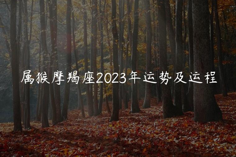 属猴摩羯座2023年运势及运程，属猴摩羯座在2023年运势