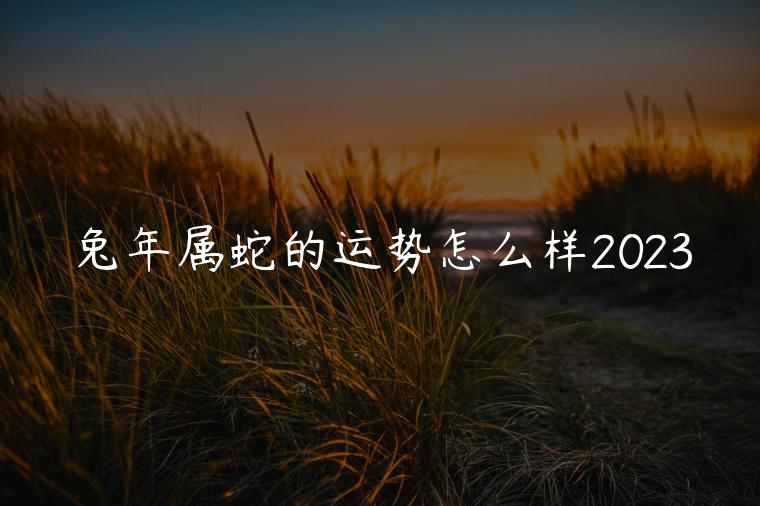 兔年属蛇的运势怎么样2023，兔年属蛇的运势怎么样