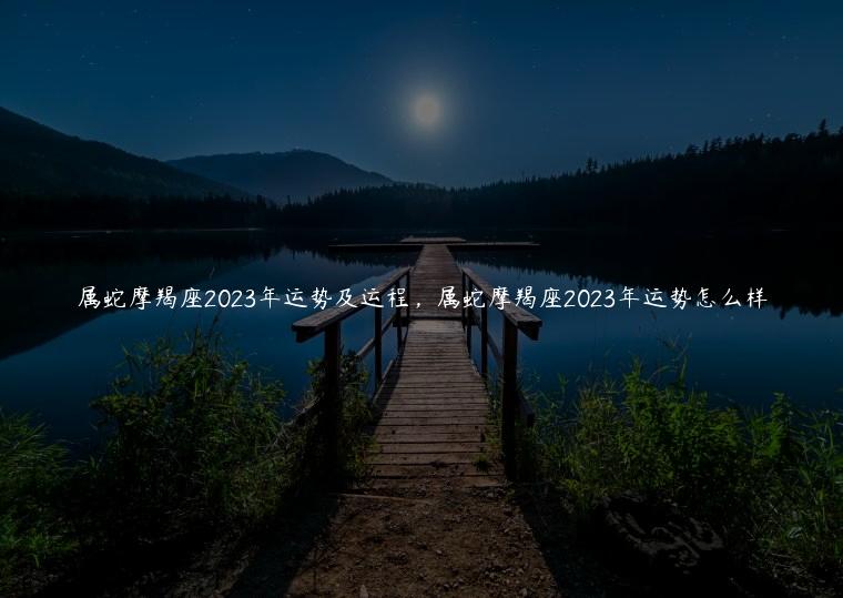 属蛇摩羯座2023年运势及运程，属蛇摩羯座2023年运势怎么样