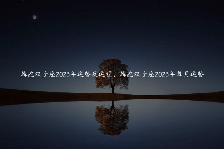 属蛇双子座2023年运势及运程，属蛇双子座2023年每月运势