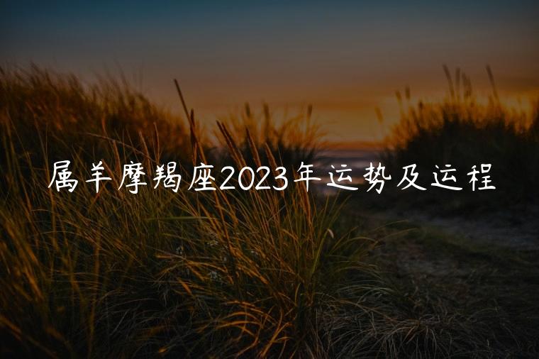 属羊摩羯座2023年运势及运程，属羊的人2023年的运势及运程