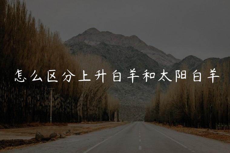 怎么区分上升白羊和太阳白羊，上升白羊和太阳白羊谁更冲动