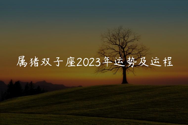 属猪双子座2023年运势及运程，属猪双子座2023年运势完整版