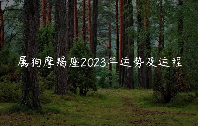 属狗摩羯座2023年运势及运程，属狗的人2023年的运势及运程