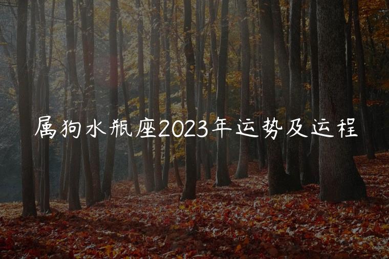 属狗水瓶座2023年运势及运程，属狗的人2023年的运势及运程