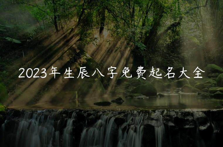 2023年生辰八字免费起名大全，2023年丁姓女宝宝生辰八字起名