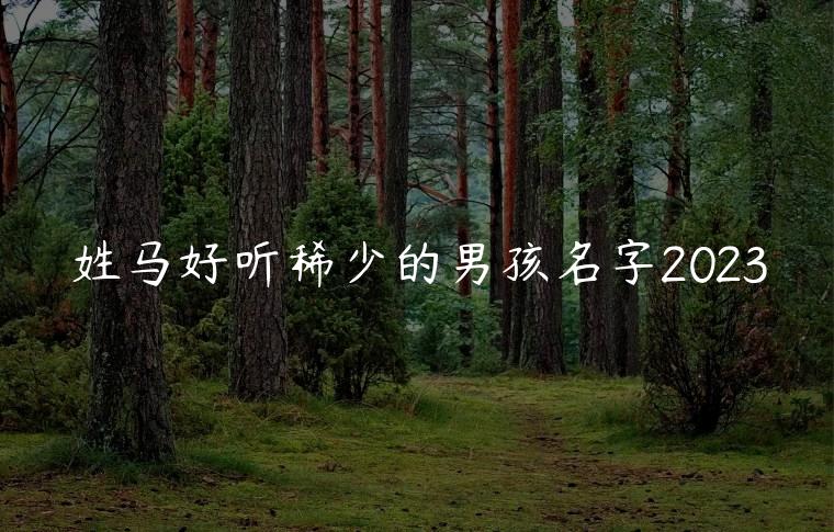 姓马好听稀少的男孩名字2023，姓马好听稀少的男孩名字大全