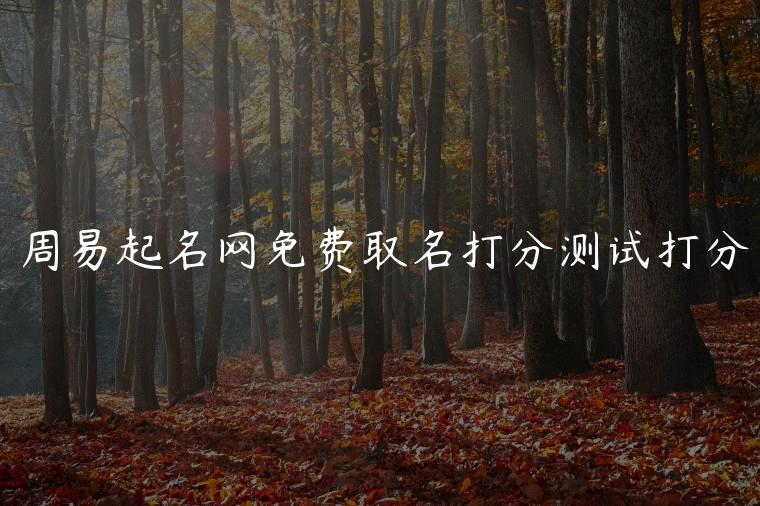 周易起名网免费取名打分测试打分，周易起名网免费取名打分测试